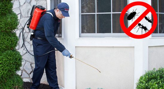 Reşadiye Kemirgen İlaçlama böcek ilaçlama ve haşere kontrolü — ilaclama-tr.com